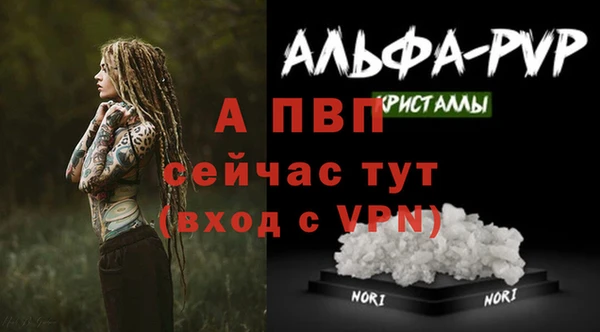 ешки Абаза