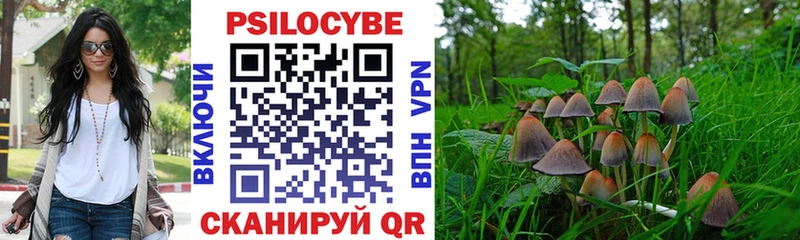 как найти закладки  Тулун  Псилоцибиновые грибы прущие грибы 