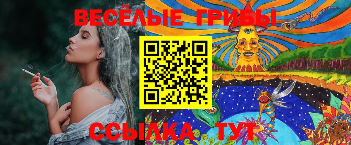 Тулун  Псилоцибиновые грибы мухоморы  Псилоцибиновые грибы MAGIC MUSHROOMS  Вход с VPN 